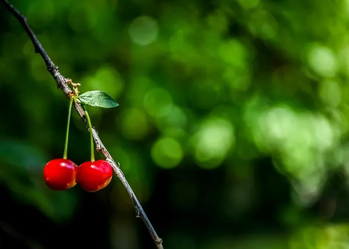 דירה Apartmanhaz *